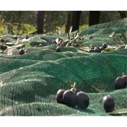 Fındık Toplama filesi