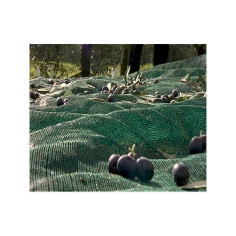 Fındık Toplama filesi Fındık Toplama filesi