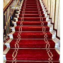 istoçprotokolhalısı