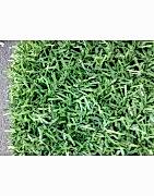 yapay çim çit duvar